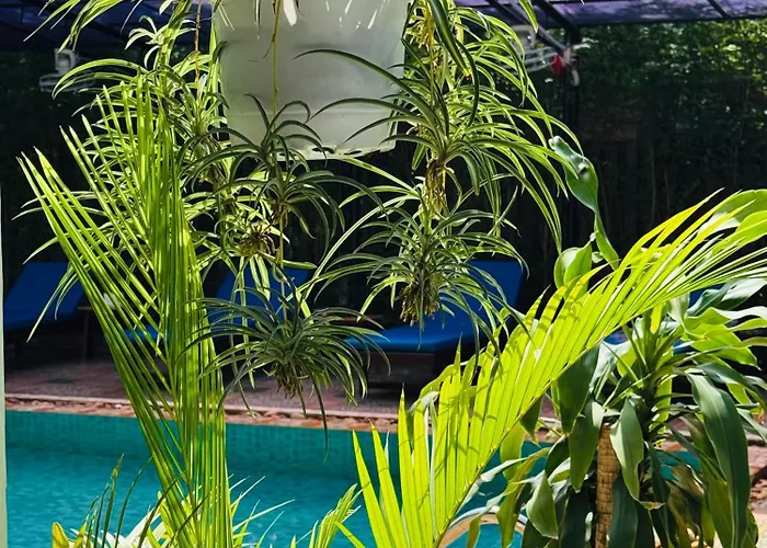 Hotel Platinum Haven & Gardens 3*